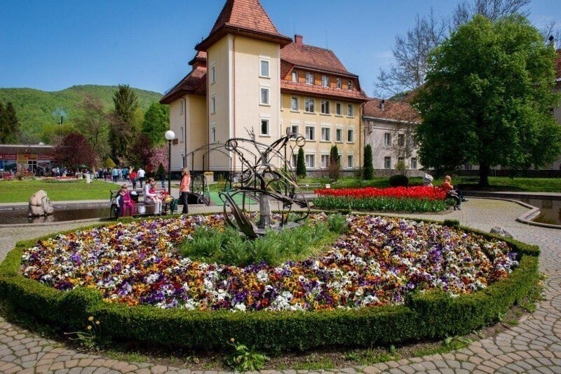 Зображення Квітка Полонини санаторий